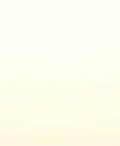 Meet your Posher, Selina